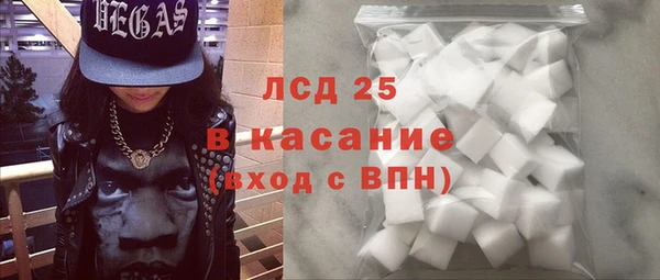 ECSTASY Богданович