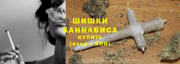ECSTASY Богданович