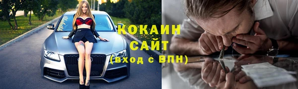 ECSTASY Богданович