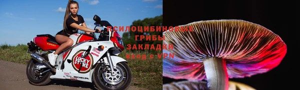 ECSTASY Богданович