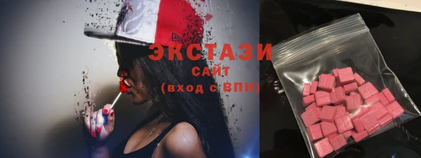 ECSTASY Богданович