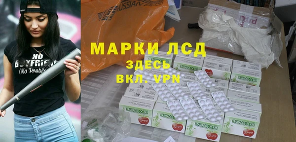 ECSTASY Богданович