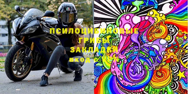 прущие грибы Иннополис