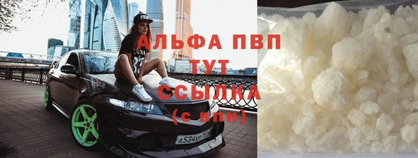 ECSTASY Богданович