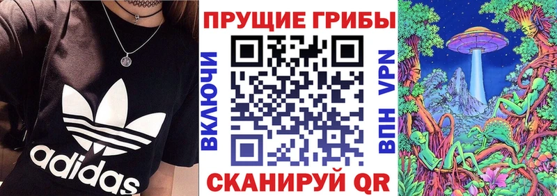 Псилоцибиновые грибы Cubensis  Волчанск 